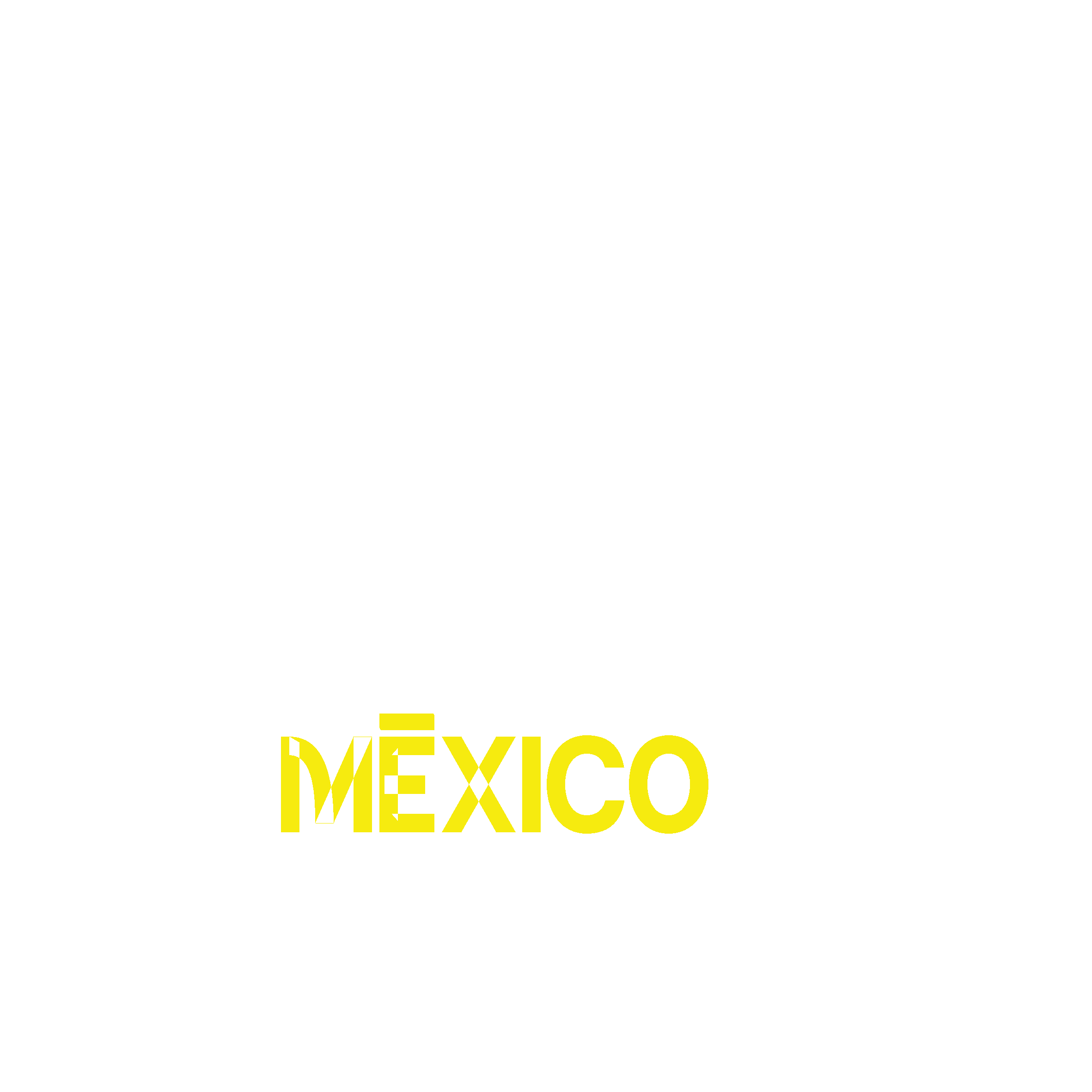 PlayFan logo